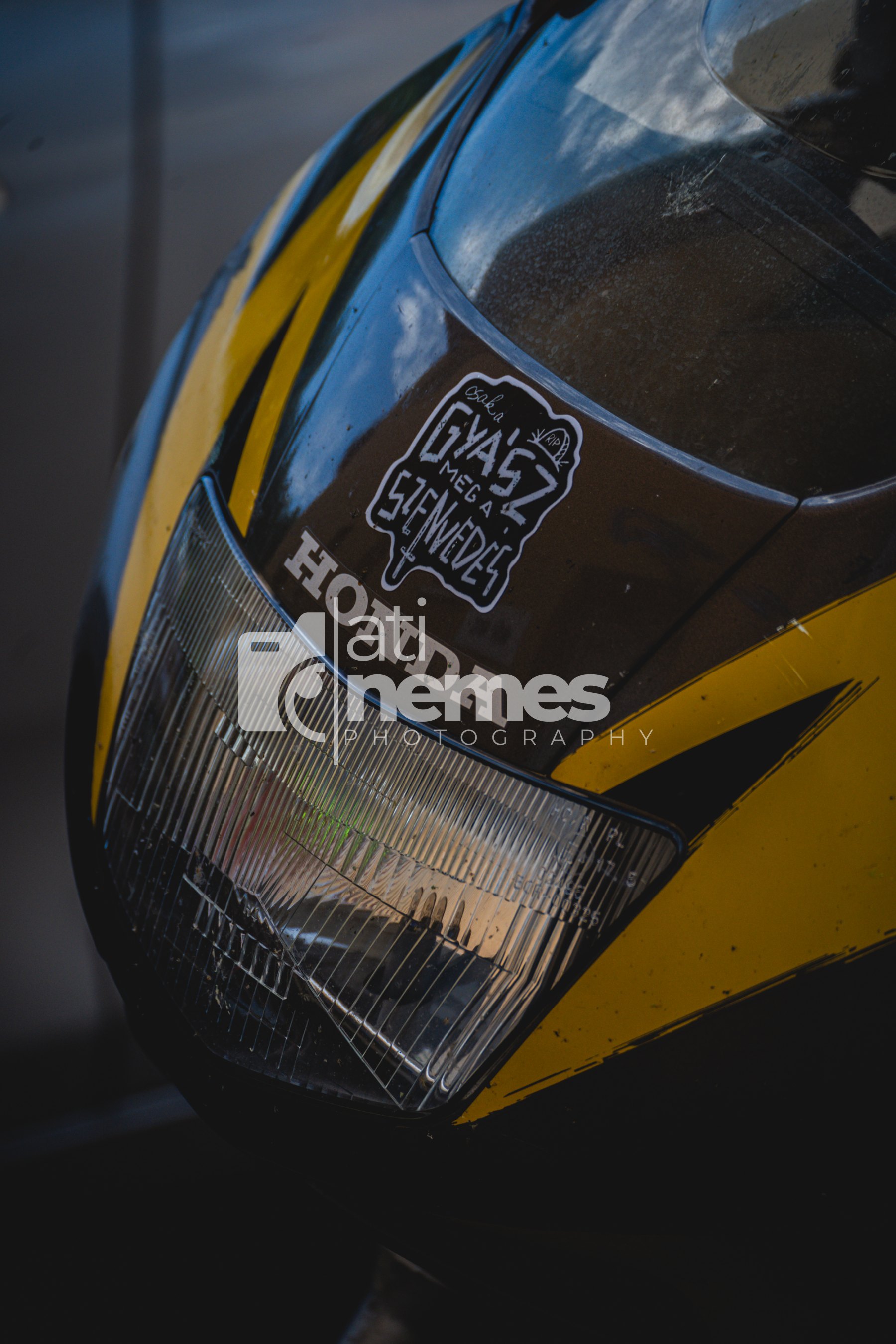 LTO07436.jpg